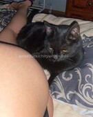 Анкета проститутки Аврора - метро Южное Бутово, возраст - 22